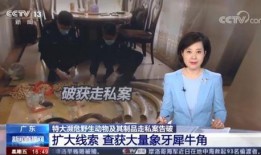 吃喀秋莎酸瓜视频大全免费观看,视频大全推荐