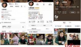 爆料段子系列大全视频,爆料段子系列大全背后的趣味与真相